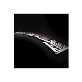Korg Monologue Synthesizer