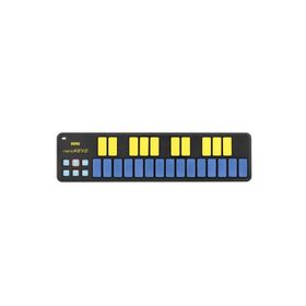 Korg Nano Key 2-BLYL