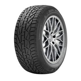 Kormoran 205/55 R17 95V XL Snow Kış Lastiği