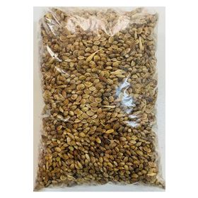 Korunga 1 kg Tohum