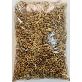 Korunga 1 kg Tohum