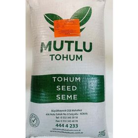 Korunga 1 kg Tohum