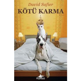 KÖTÜ KARMA - GENEL