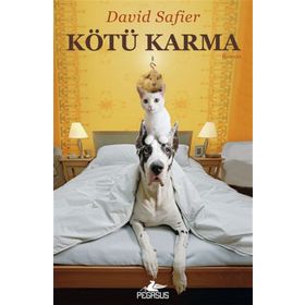 KÖTÜ KARMA - GENEL