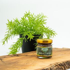 Köyceğiz 40 gr Cam Kavanoz Yöresel Köyceğiz Sığla Yağı