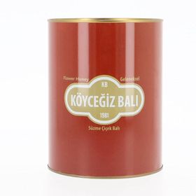 Köyceğiz Balı 4850 gr Teneke Çam Balı