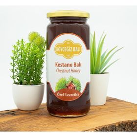 Köyceğiz Balı Kestane Balı 660 gr Cam Kavanoz