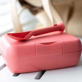 Koziol Pembe Yemek Saklama Kabı Seti