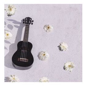 Kozmos KUK-110BST Soprano Ukulele