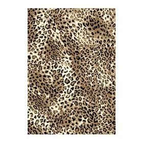 Kozzy Home RFE6163300 80x300 cm Yolluk