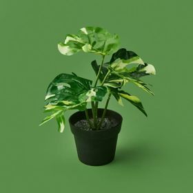 Kpm Botta Asorti 24 cm Çiçek