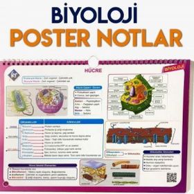 Kr Akademi Yayınları Biyoloji Poster Notlar