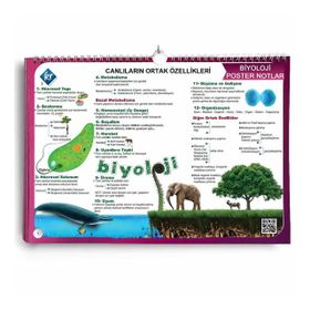 Kr Akademi Yayınları Biyoloji Poster Notlar