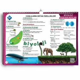Kr Akademi Yayınları Biyoloji Poster Notlar