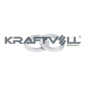 Kraftvoll 10060097 On Sag - Sol Ducato Boxer Jumper Tum Modell Amortisör Rulmanı