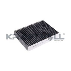 Kraftvoll BMW F20 F30 Karbonlu Polen Filtresi