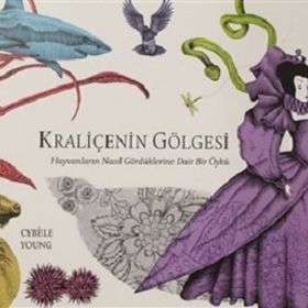 Kraliçenin Gölgesi - Cybele Young