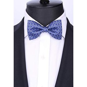 Kravatkolik P121 Motif Desen Mavi Papyon