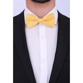 Kravatkolik SP21 Sarı Saten Papyon