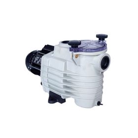 Kripsol ONDINA-OK 1 HP Monofaze Havuz Pompası