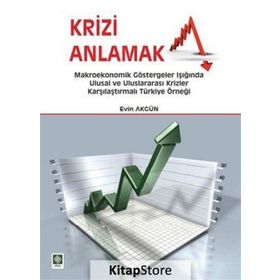 Krizi Anlamak - Evin Akgün