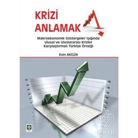 Krizi Anlamak - Evin Akgün