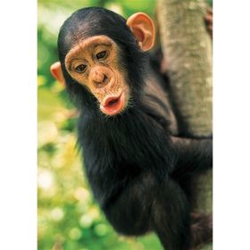 KS Games 100 Parça Animal Planet Baby Chimp Puzzle