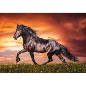 KS Games 100 Parça Animal Planet Black Beauty Puzzle