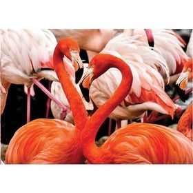 KS Games 100 Parça Animal Planet Flamingo Lovers Puzzle
