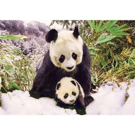 KS Games 100 Parça Animal Planet Panda Mother Puzzle