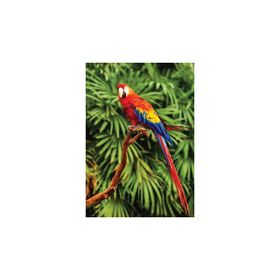 KS Games 100 Parça Animal Planet Scarlet Macaw Puzzle