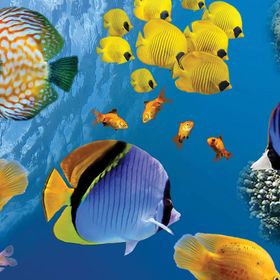 KS Games 100 Parça Animal Planet Underwater Puzzle