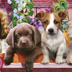 KS Games 21009 1000 Parça Panorama Puppies Puzzle