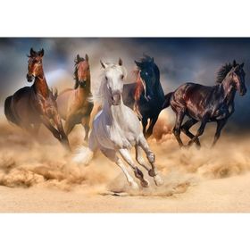 KS Games Koşan Vahşi Atlar 1000 Parça Puzzle