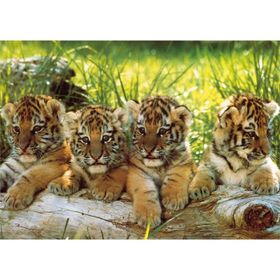 KS Games Mark Goulding Four Tigers 200 Parça Puzzle
