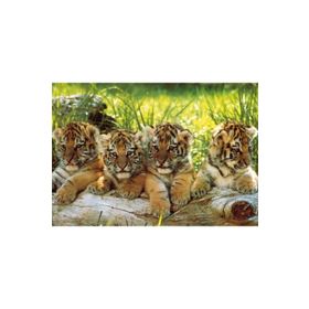KS Games Mark Goulding Four Tigers 200 Parça Puzzle