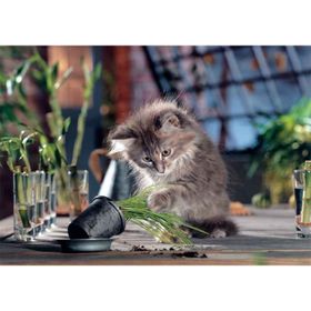 KS Games Naughty Cat 500 Parça Puzzle Kedi Puzzle