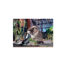 KS Games Naughty Cat 500 Parça Puzzle Kedi Puzzle