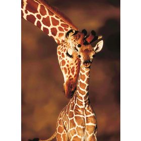 KS Games Stunning Giraffes 100 Parça Puzzle