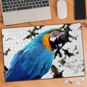 KS000797 Renkli Tüylü Sevimli Papağan 240 Parça Puzzle Yapboz