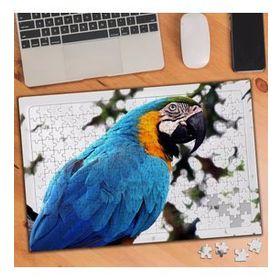 KS000797 Renkli Tüylü Sevimli Papağan 240 Parça Puzzle Yapboz