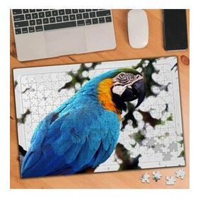 KS000797 Renkli Tüylü Sevimli Papağan 240 Parça Puzzle Yapboz