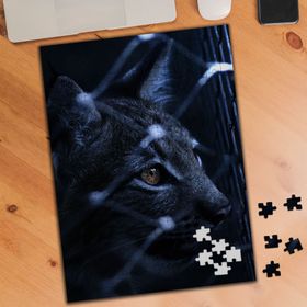 KS000943 Barınakta Yabani Vahşi Hayvan 240 Parça Puzzle Yapboz