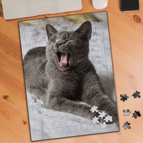 KS001102 Gri Tüylü Esneyen Kedicik 240 Parça Puzzle Yapboz