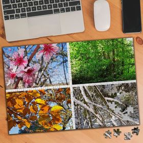 KS699276 Evrenin Dört Mevsim Geçişleri 240 Parça Puzzle Yapboz