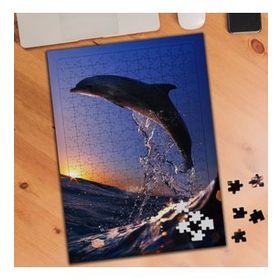 KS699480 Sevimli Yunus Balığı 240 Parça Puzzle Yapboz