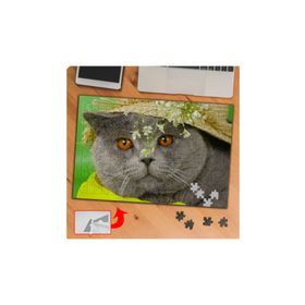 KS70340 Yaramaz Sevimli Kedi Scottish 240 Parça Puzzle Yapboz