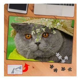 KS70340 Yaramaz Sevimli Kedi Scottish 240 Parça Puzzle Yapboz