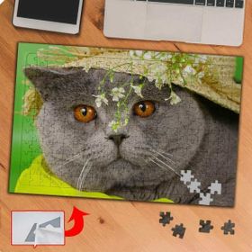 KS70340 Yaramaz Sevimli Kedi Scottish 240 Parça Puzzle Yapboz