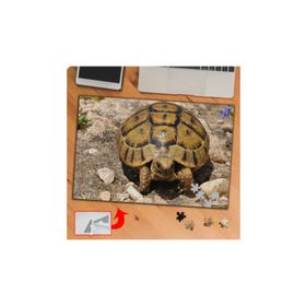 KS70366 Sevimli Hayvan Kaplumbağa 240 Parça Puzzle Yapboz